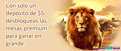 Torneo VIP de Casino 💎 promotion
